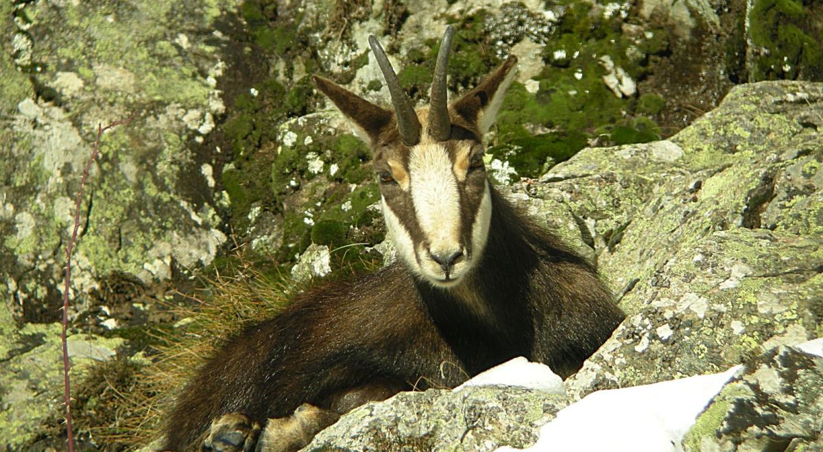 Olivier Eyraud - Rando naturaliste
