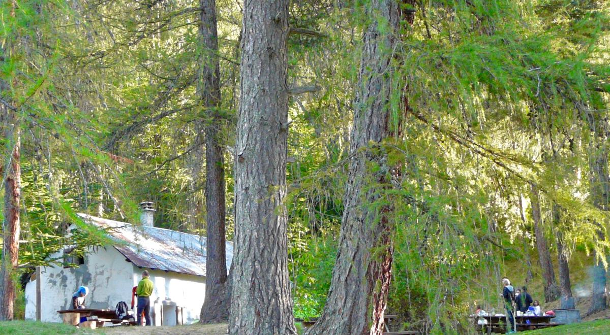 Escapade d'une nuit - cabane forestière