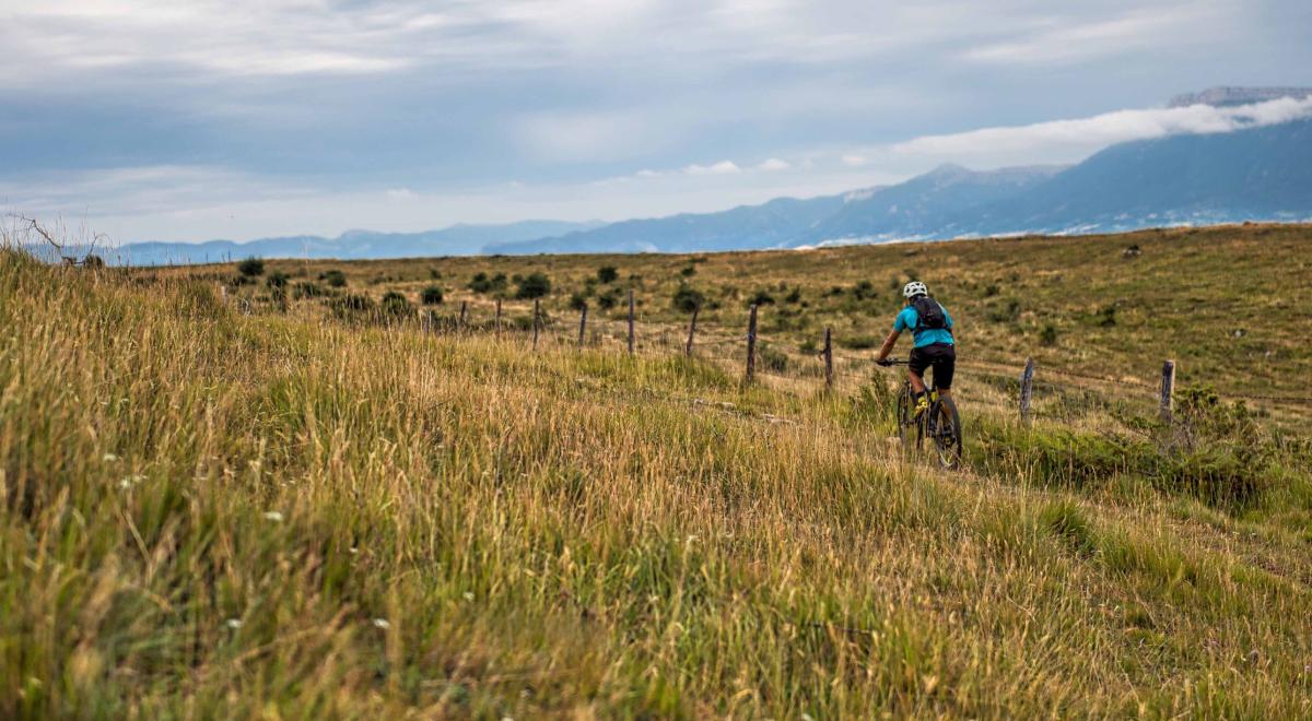 Image - GTHA champsaur