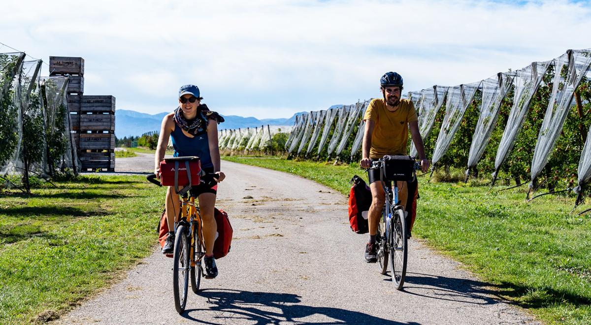 Image - Entre les vergers