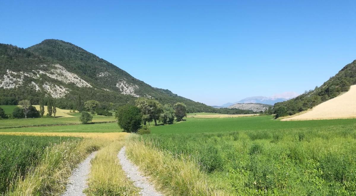 Image - Chemin au milieu des champs agricoles