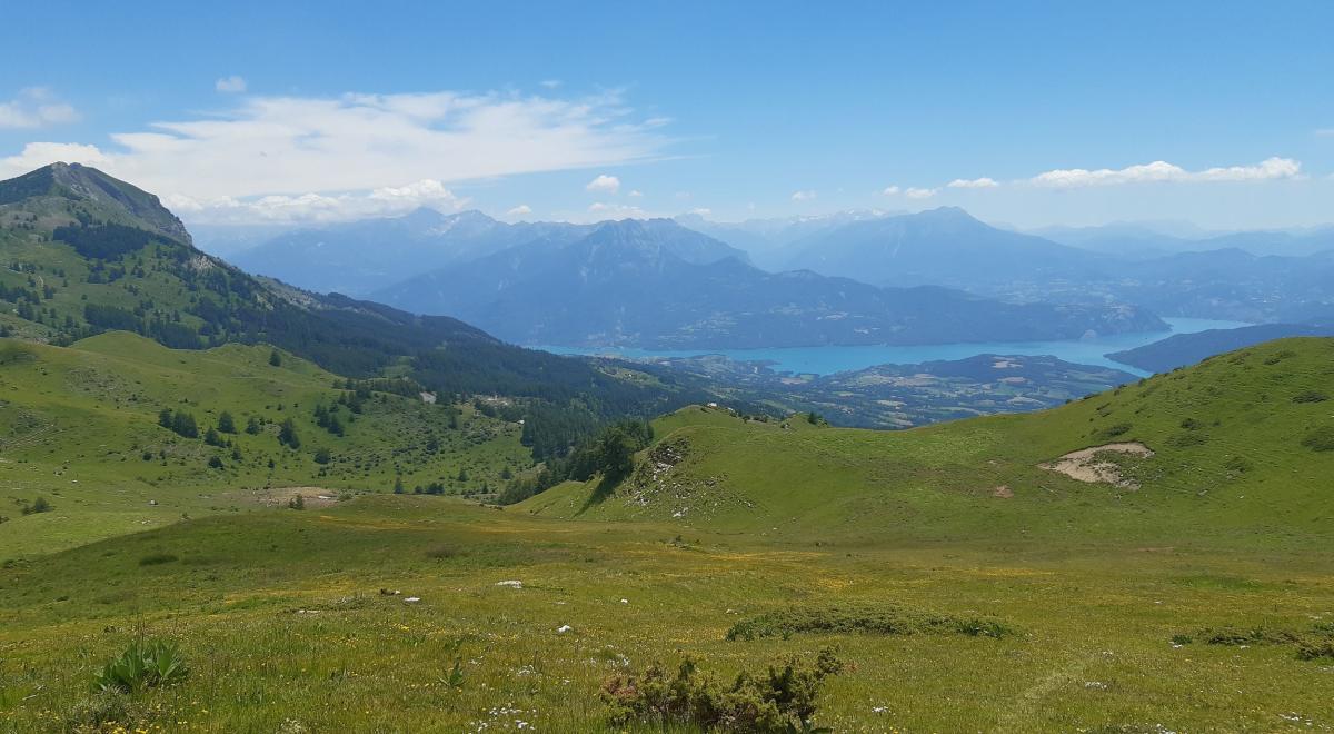 Image - Alpages sous le col