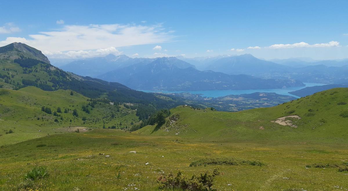 Image - Alpages sous le col