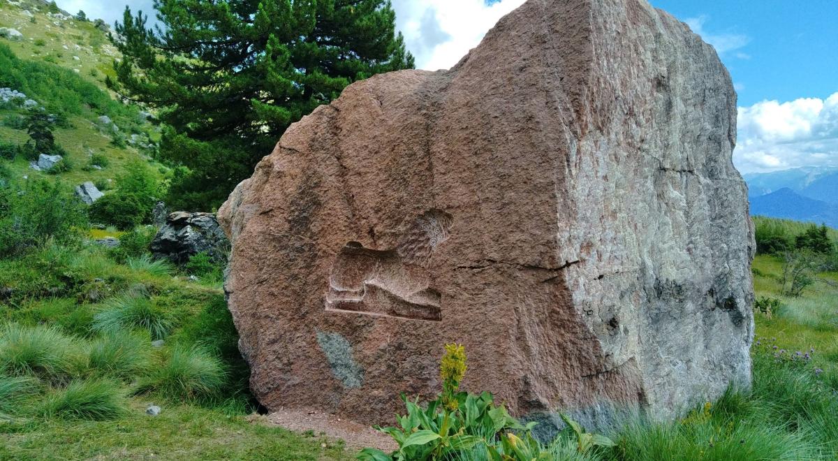 Image - le lion de Salados