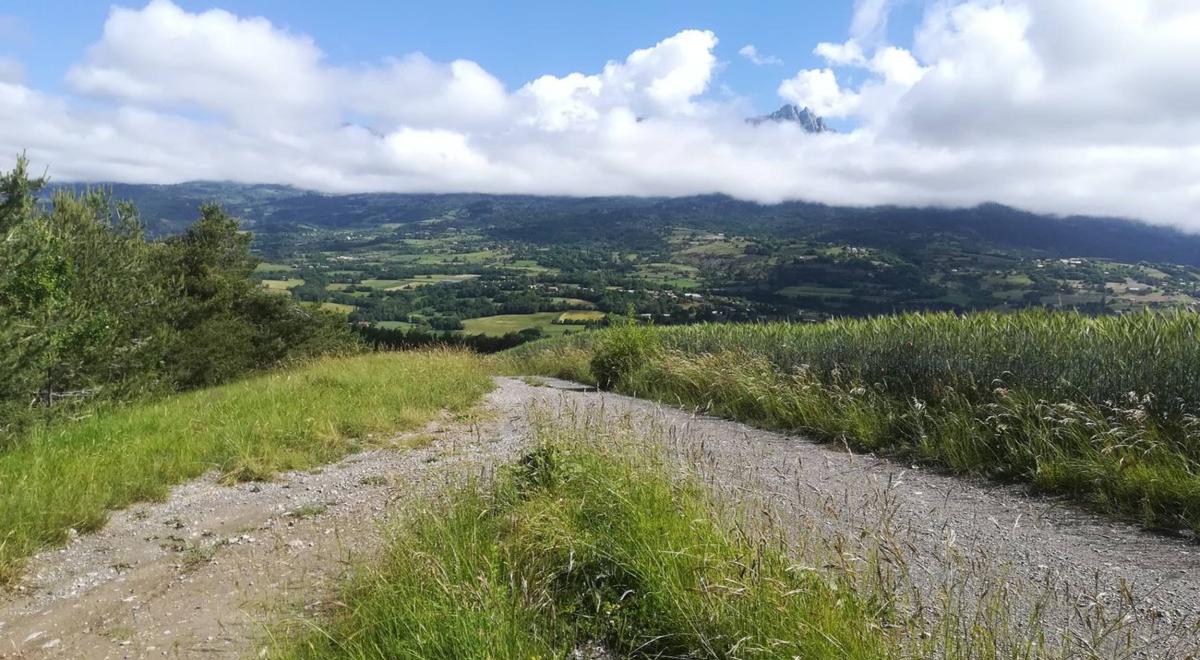 Image - Sur les chemins des Curattes