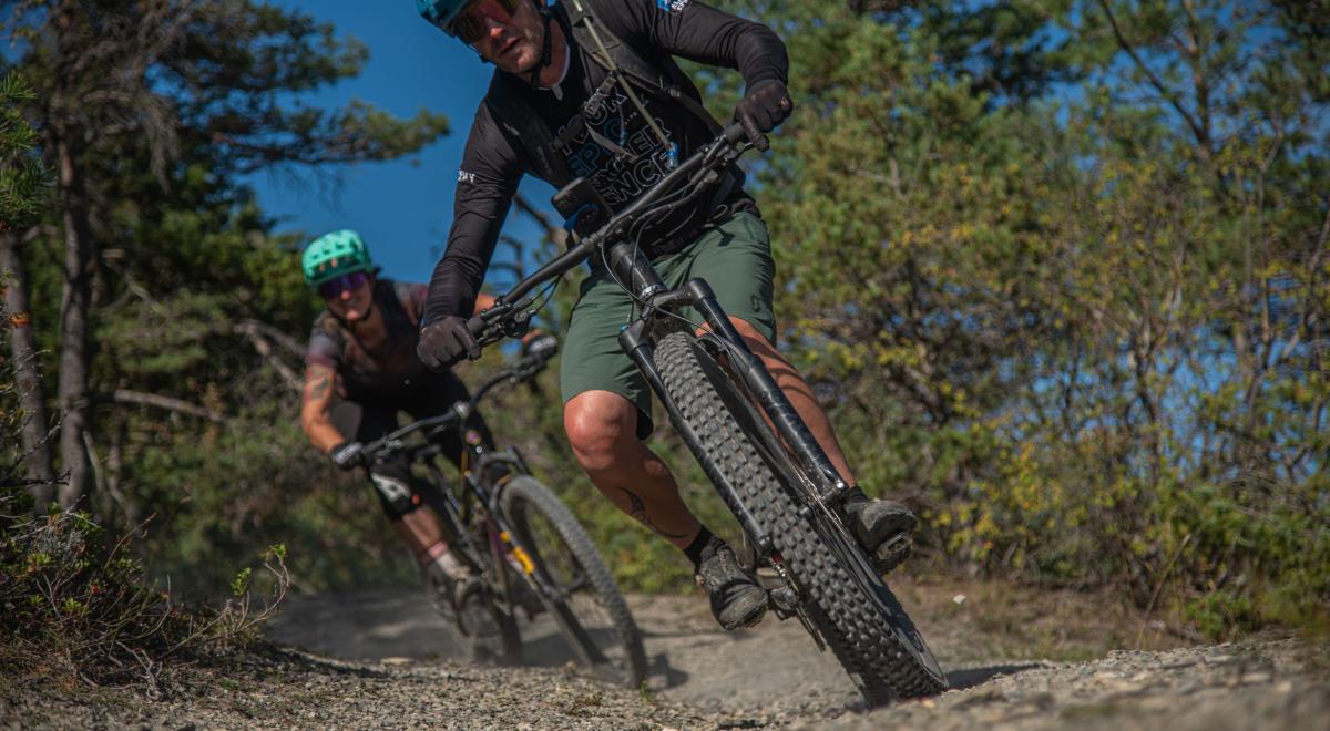 Image - Le Petit Bois