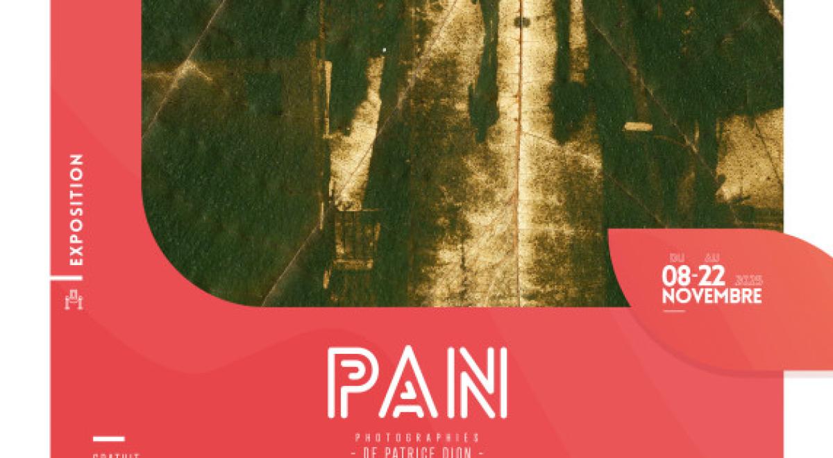 Exposition "Pan" par Patrice Dion CHORGES - Exposition "Pan" par Patrice Dion CHORGES Exposition "Pan" par Patrice Dion CHORGES - Exposition "Pan" par Patrice Dion CHORGES