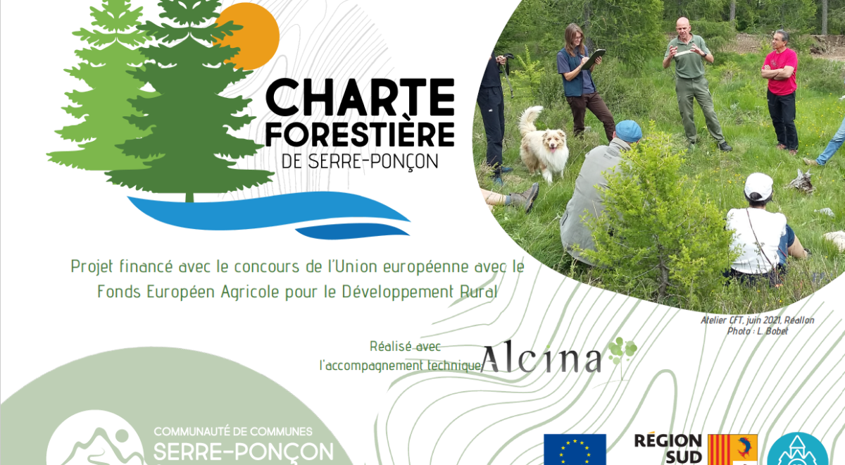 Diagnostic de la charte forestière