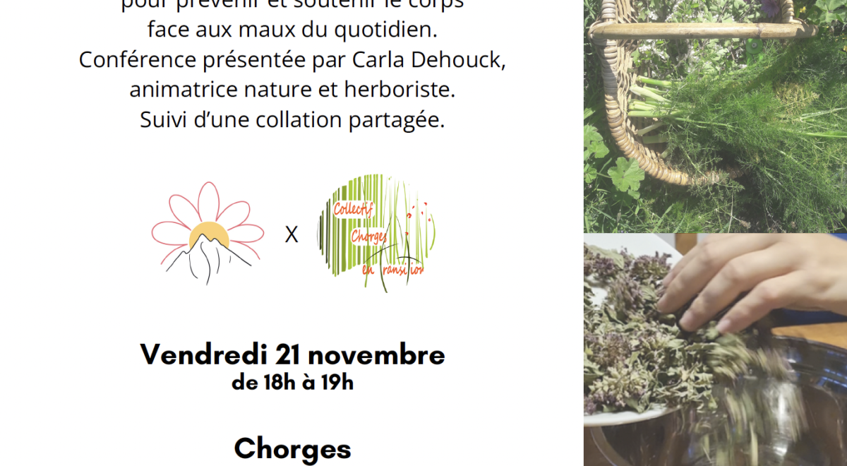 Conférence Plantes médicinales d'hiver.pdf
