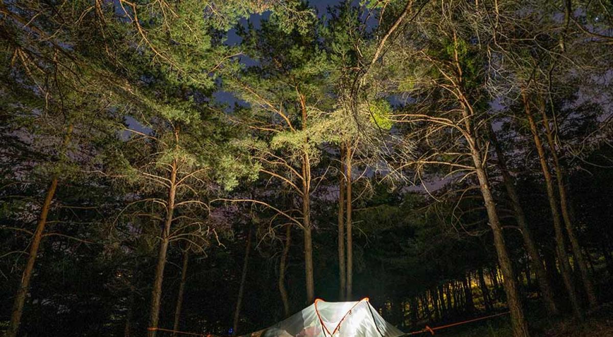 Tente suspendue entre des pins, la nuit, éclairée de l'intérieur