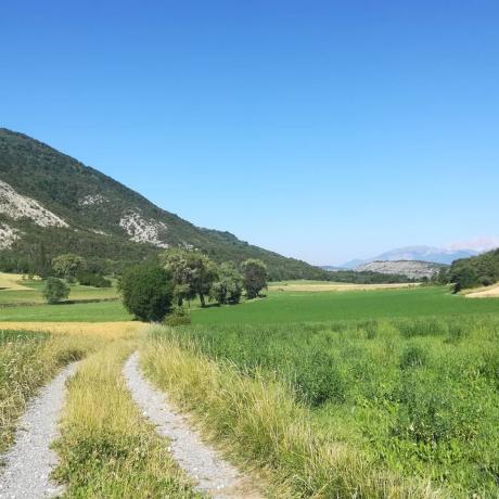 Image - Chemin au milieu des champs agricoles