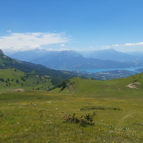 Image - Alpages sous le col