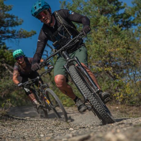 Image - Le Petit Bois