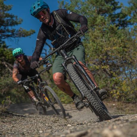 Image - Le Petit Bois