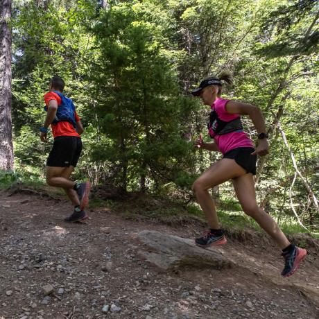 Image - le petit bois