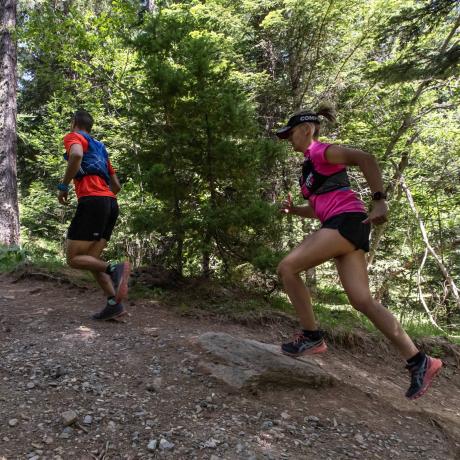 Image - le petit bois