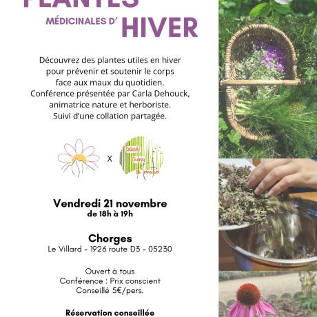 Conférence "Les plantes médicinales d'hiver" CHORGES - Conférence "Les plantes médicinales d'hiver" CHORGES