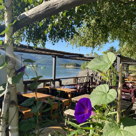 terrasse fleurie - terrasse fleurie -
