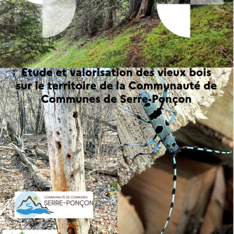 couverture rapport