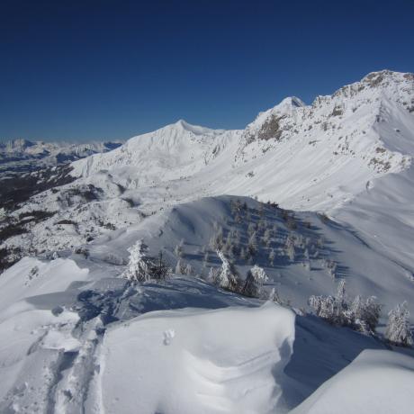 Le site en hiver - Agnès Vivat