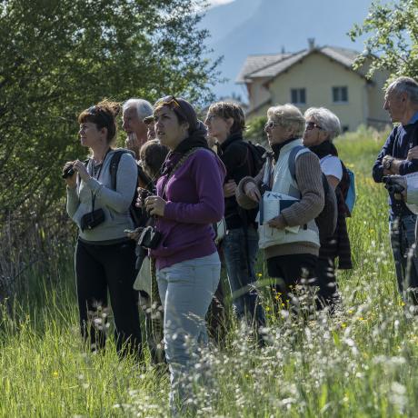 Découverte des oiseaux du marais lors de la Fête Nature - Christian Merentier