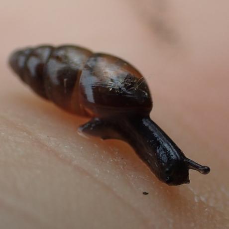 Vertigo étroit - Christophe Perrier