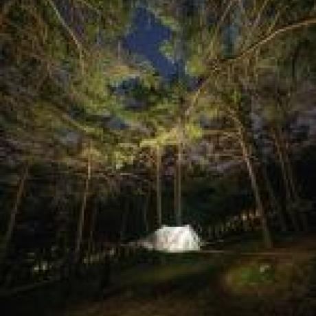 tente-suspendue-nuit-bd-web