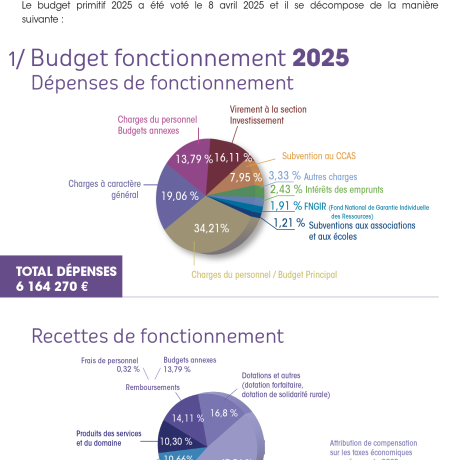 BUDGET 2025 BUDGET 2025
