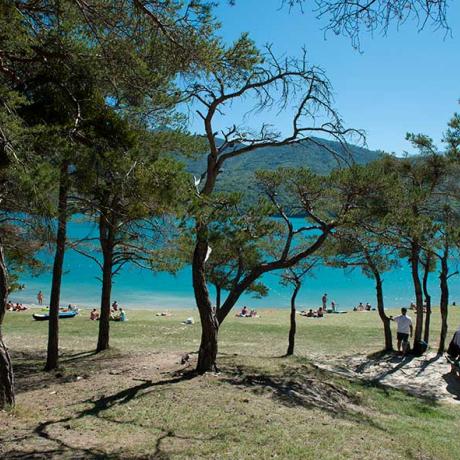 Plage au milieu des pins sur le lac de Serre-Ponçon
