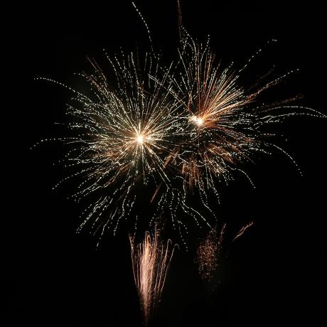 2 palmiers dorés par des feux d'artifice