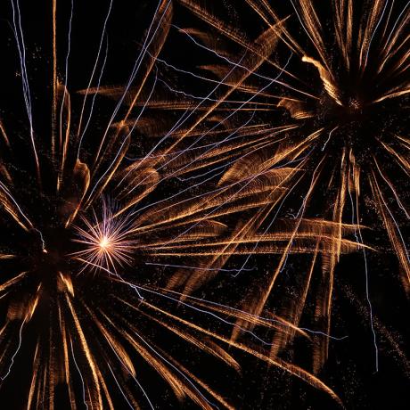 3 fleurs dorées dans la nuit de Chorges