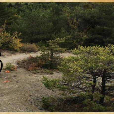 STAGE VTT 