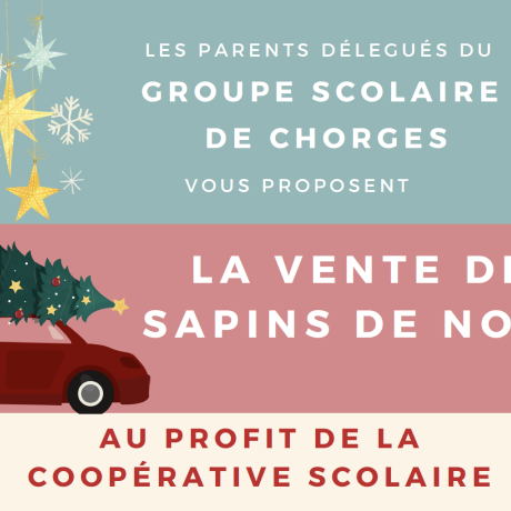 LA VENTE DESAPINS DE NOEL