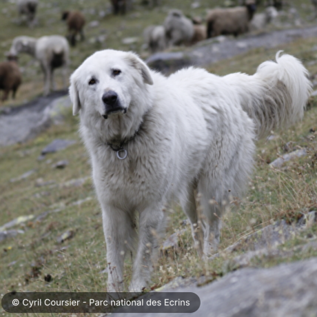 Capture d’écran 2026-02-09 à 11.58.26.png
