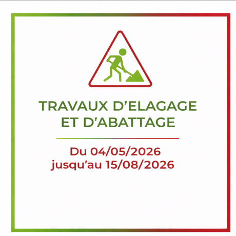 Travaux d’élagage et d’abattage