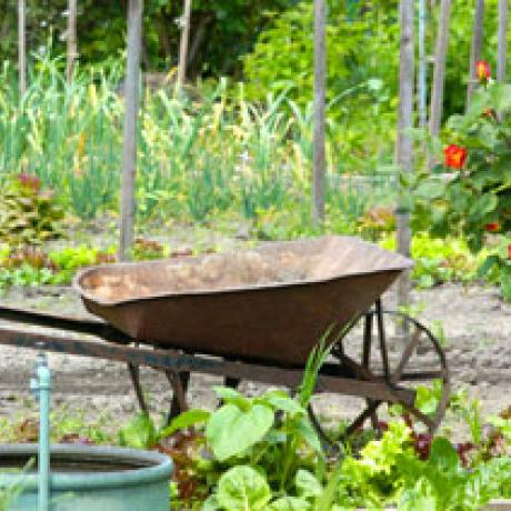 Jardins partagés à Chorges