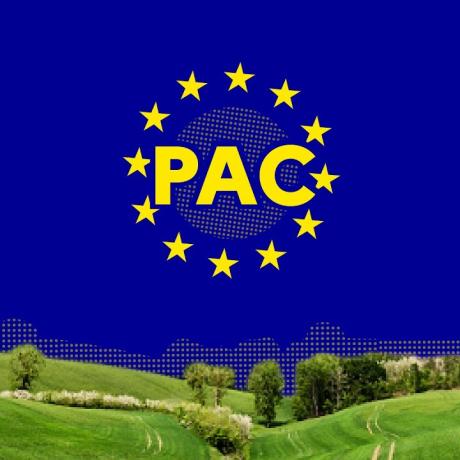 PAC PAC