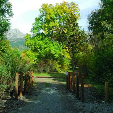 Entrée du Parc des Moulettes à Chorges - allée ombragée