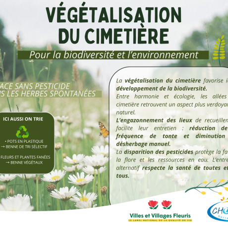 végétalisation du cimetière