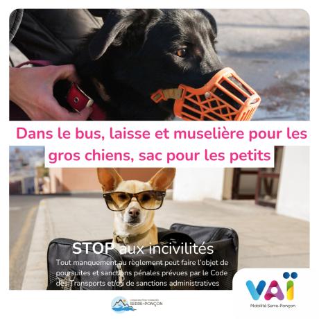 Campagne incivilités bus Vaï visuel 2