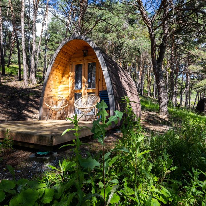 photo pod pinede c2023