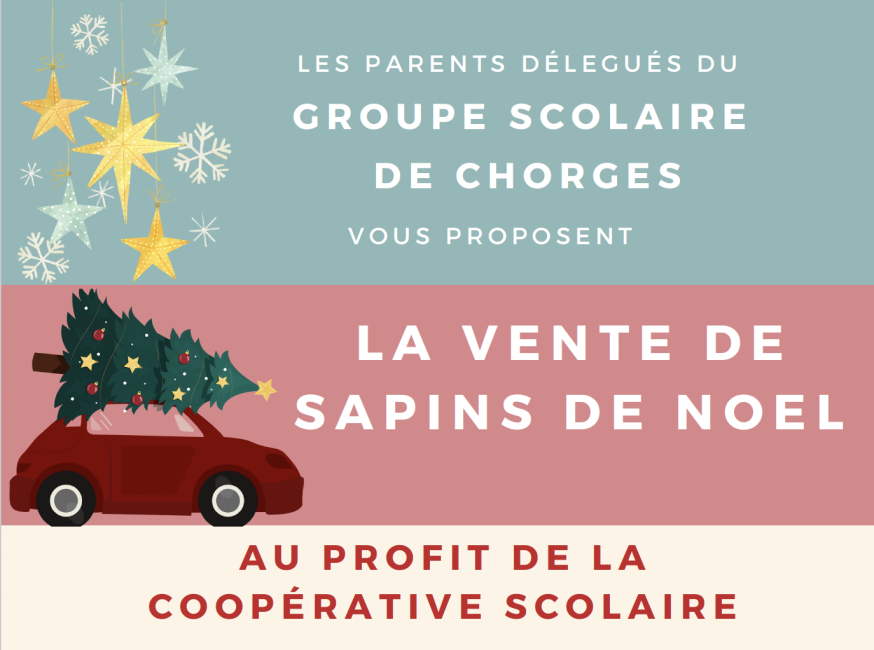 LA VENTE DESAPINS DE NOEL