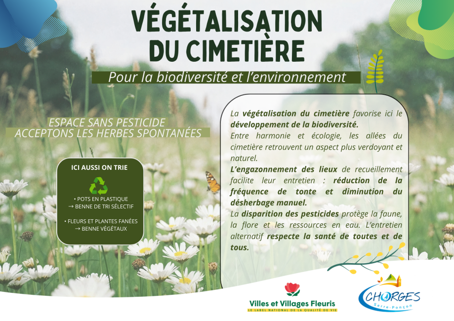 végétalisation du cimetière.