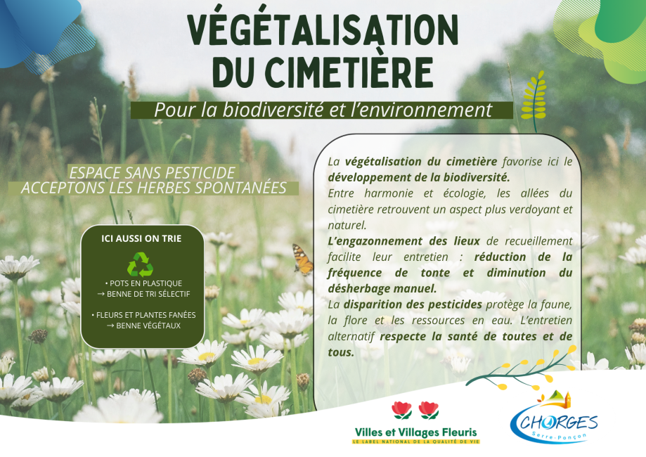 végétalisation du cimetière